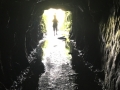 Cave Entrance
