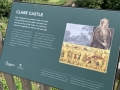 Clare Castle