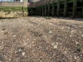 Thames River Bed