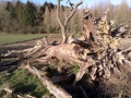DSC00209.jpg