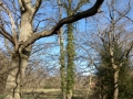 DSC00217.jpg