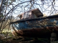 DSC00218.jpg