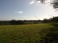 DSC00222.jpg