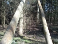 DSC00223.jpg