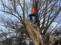 5/5 Tree Climb Geocache